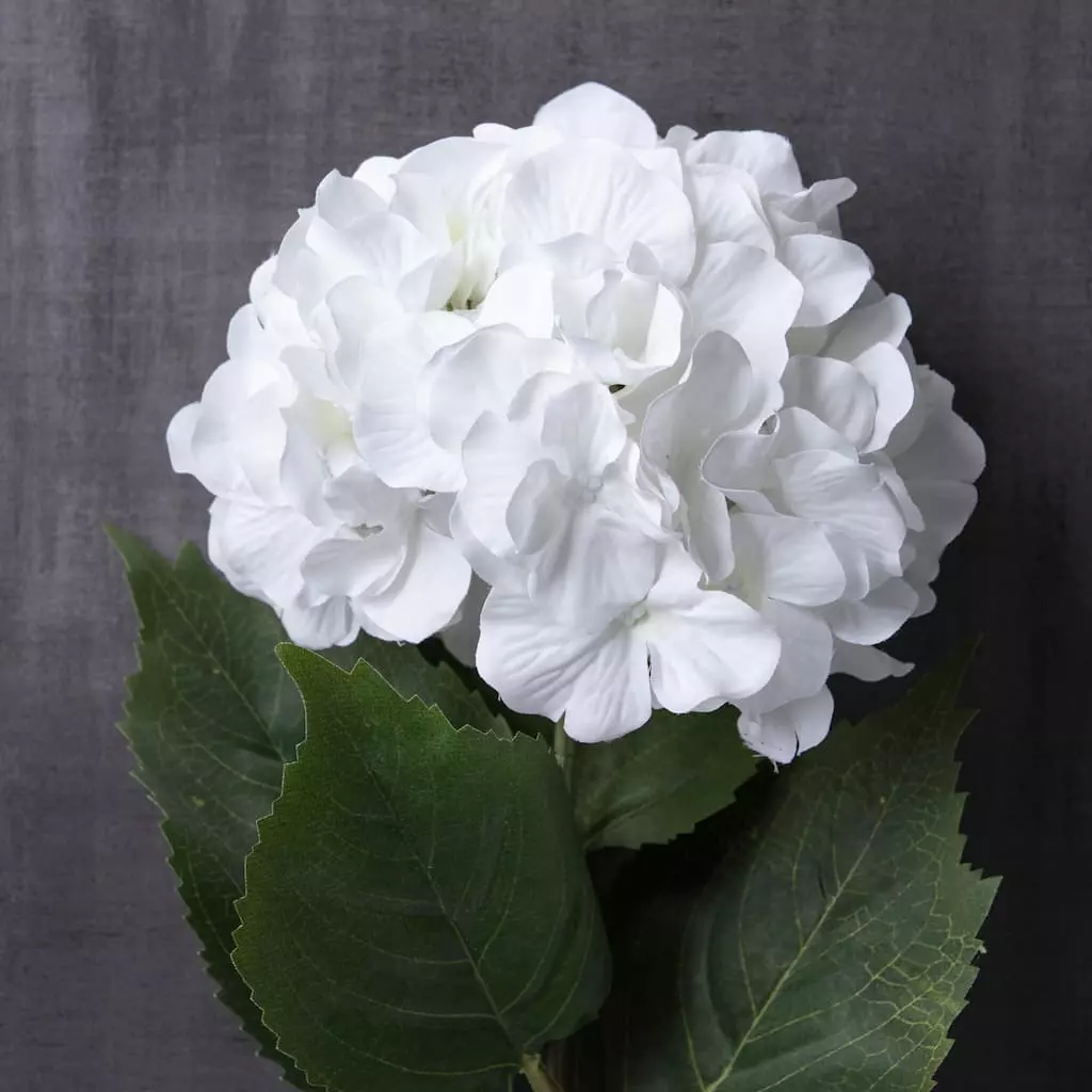 Outlet ๐ฏ 12 Pack: Classic Traditions™ White Hydrangea Stem by Ashland® โจ 6 Outlet ๐ฏ 12 Pack: Classic Traditions™ White Hydrangea Stem by Ashland® โจ - Image 4
