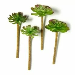 Budget ⌛ 12 Pack: Assorted Red Tipped Succulent Pick by Ashland® ⌛ -Ashland Online Store MP229986 21