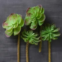 Budget ⌛ 12 Pack: Assorted Red Tipped Succulent Pick by Ashland® ⌛ -Ashland Online Store MP229986 22