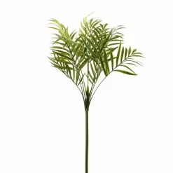 Top 10 ⭐ 12 Pack: Green Palm Spray by Ashland® 👍