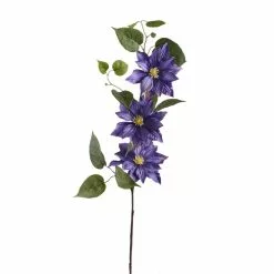 Cheapest ✔️ 12 Pack: Purple Clematis Stem by Ashland® ✨