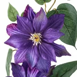 Cheapest ✔️ 12 Pack: Purple Clematis Stem by Ashland® ✨ 8 Cheapest ✔️ 12 Pack: Purple Clematis Stem by Ashland® ✨ -Ashland Online Store MP230902 20