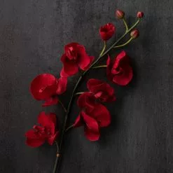 Best Pirce ✨ 6 Pack: Red Orchid Stem by Ashland® ⌛ -Ashland Online Store MP230911 22