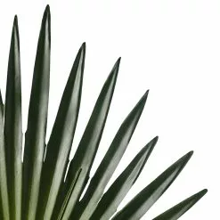 Flash Sale ✔️ 6 Pack: Green Fan Palm Stem by Ashland® ✔️ 7 Flash Sale ✔️ 6 Pack: Green Fan Palm Stem by Ashland® ✔️ -Ashland Online Store MP230923 20