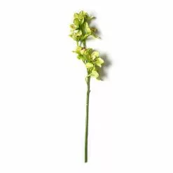 Cheapest 🎁 8 Pack: Pale Green Boat Orchid Stem by Ashland® 🧨 -Ashland Online Store MP230928 21