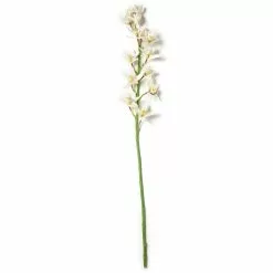 Deals 🛒 8 Pack: Cream Boat Orchid Stem by Ashland® 😉 -Ashland Online Store MP230929 21