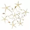 Best reviews of ⭐ 6 Pack: Starfish & Shells Garland by Ashland® ❤️