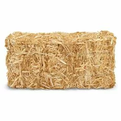 Deals 😀 12 Pack: 13" Decorative Straw Bale by Ashland® ⌛