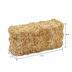 Deals 😀 12 Pack: 13" Decorative Straw Bale by Ashland® ⌛ -Ashland Online Store MP234532 2