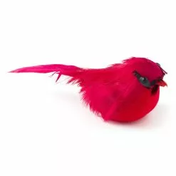 Discount 💯 24 Pack: Small Cardinal Bird by Ashland® ✔️ -Ashland Online Store MP239959 21