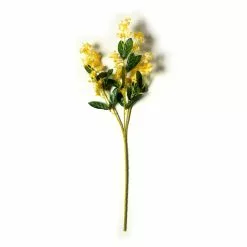 Flash Sale ✔️ 12 Pack: Gold Double Baby's Breath Stem by Ashland® ⭐ -Ashland Online Store MP240091 21