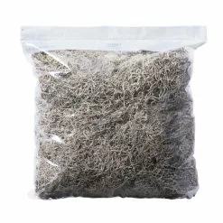 Best deal ❤️ 16 Pack: Natural Spanish Moss by Ashland® ✨