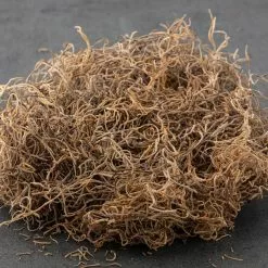 Best deal ❤️ 16 Pack: Natural Spanish Moss by Ashland® ✨ -Ashland Online Store MP254250 21