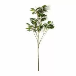 Best Sale 🌟 12 Pack: Green Osmanthus Stem by Ashland® 🎁 -Ashland Online Store MP263723 21