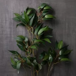 Best Sale 🌟 12 Pack: Green Osmanthus Stem by Ashland® 🎁 -Ashland Online Store MP263723 22