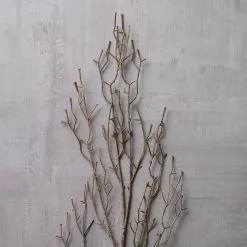 Discount ✨ 12 Pack: Brown Twig Stem by Ashland® ❤️ -Ashland Online Store MP263724 22