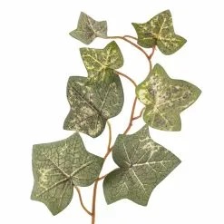 Cheap 🌟 12 Pack: Green English Ivy Spray by Ashland® 🔔 -Ashland Online Store MP265880 20