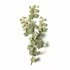 Cheap 🌟 12 Pack: Green English Ivy Spray by Ashland® 🔔 -Ashland Online Store MP265880 21