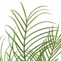 Best Sale ๐ 12 Pack: Green Palm Plant Bush by Ashland® ๐ 8 Best Sale ๐ 12 Pack: Green Palm Plant Bush by Ashland® ๐ -Ashland Online Store MP275769 20