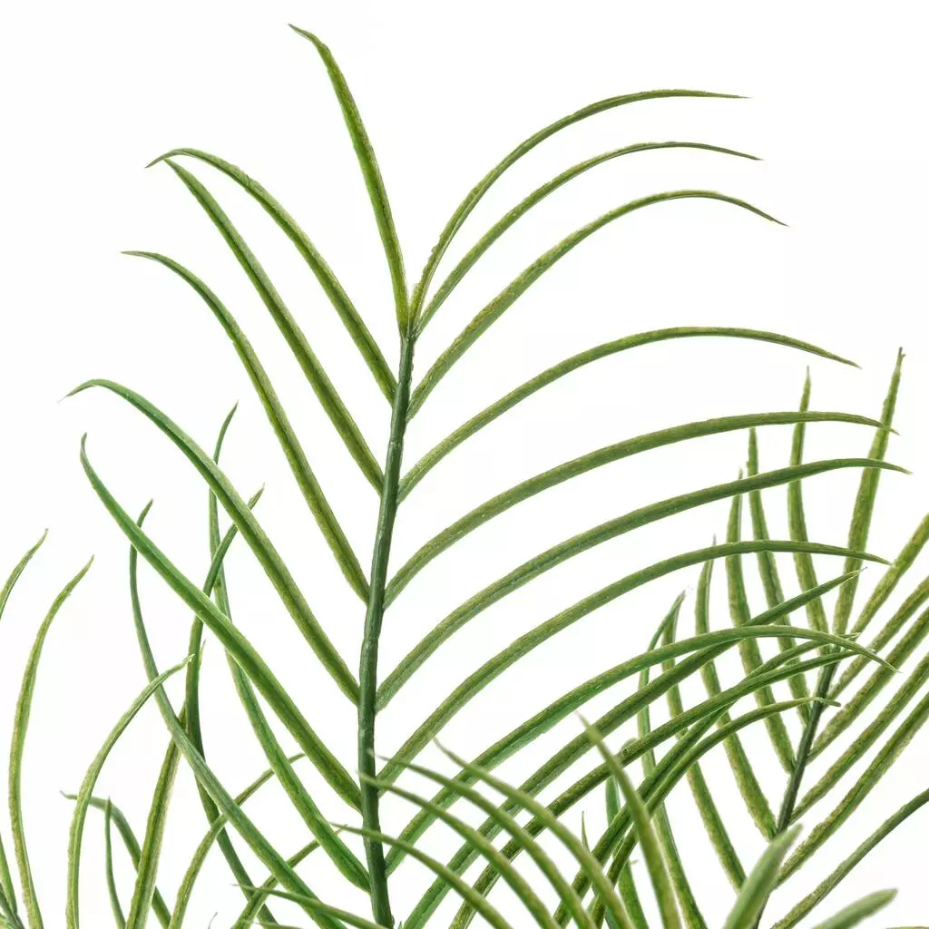 Best Sale ๐ 12 Pack: Green Palm Plant Bush by Ashland® ๐ 5 Best Sale ๐ 12 Pack: Green Palm Plant Bush by Ashland® ๐ - Image 3