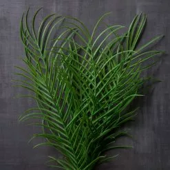 Best Sale ๐ 12 Pack: Green Palm Plant Bush by Ashland® ๐ 7 Best Sale ๐ 12 Pack: Green Palm Plant Bush by Ashland® ๐ -Ashland Online Store MP275769 22