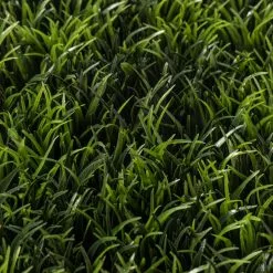 Promo ๐ฅ 6 Pack: Dark Green Grass Mat by Ashland® ๐ 10 Promo ๐ฅ 6 Pack: Dark Green Grass Mat by Ashland® ๐ -Ashland Online Store MP276107 20