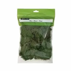 Wholesale 👏 12 Pack: Basil Green Reindeer Moss by Ashland® 🎁