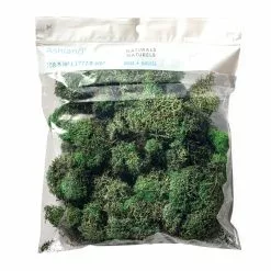 Wholesale 👏 12 Pack: Basil Green Reindeer Moss by Ashland® 🎁 -Ashland Online Store MP284152 20