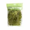 Cheap 😍 12 Pack: Spring Green Reindeer Moss by Ashland® 🔥 -Ashland Online Store MP284153 1