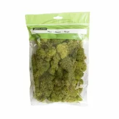 Cheap 😍 12 Pack: Spring Green Reindeer Moss by Ashland® 🔥