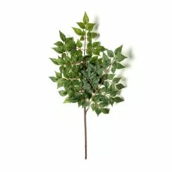 Coupon ❤️ 24 Pack: Green China Dollar Spray by Ashland® ✨ -Ashland Online Store MP292511 21