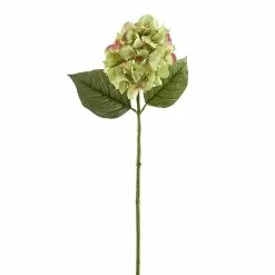 Promo 😍 12 Pack: Green Hydrangea Stem by Ashland® ⌛
