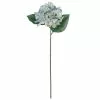 Budget 🛒 12 Pack: Blue & Green Hydrangea Stem by Ashland® 🧨 -Ashland Online Store MP297077 1