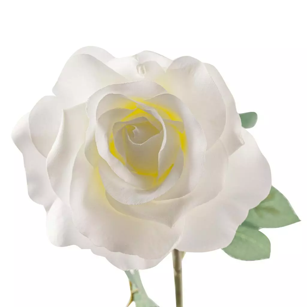 Best reviews of ๐ 16 Pack: Ivory Princess Rose Stem by Ashland® โค๏ธ 6 Best reviews of ๐ 16 Pack: Ivory Princess Rose Stem by Ashland® โค๏ธ - Image 4