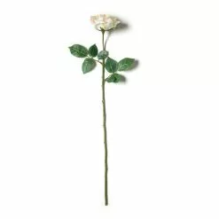 Best reviews of 🧨 12 Pack: White Princess Rose Stem by Ashland® 👏 -Ashland Online Store MP297097 21