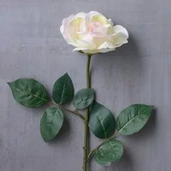 Best reviews of 🧨 12 Pack: White Princess Rose Stem by Ashland® 👏 -Ashland Online Store MP297097 22