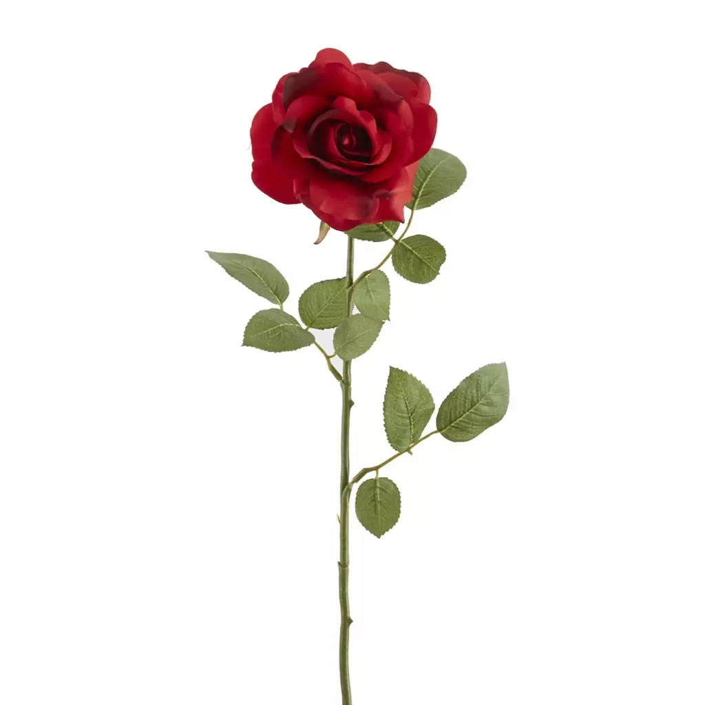 Best reviews of ✔️ 12 Pack: Dark Red Princess Rose by Ashland® ⭐ 3 Best reviews of ✔️ 12 Pack: Dark Red Princess Rose by Ashland® ⭐