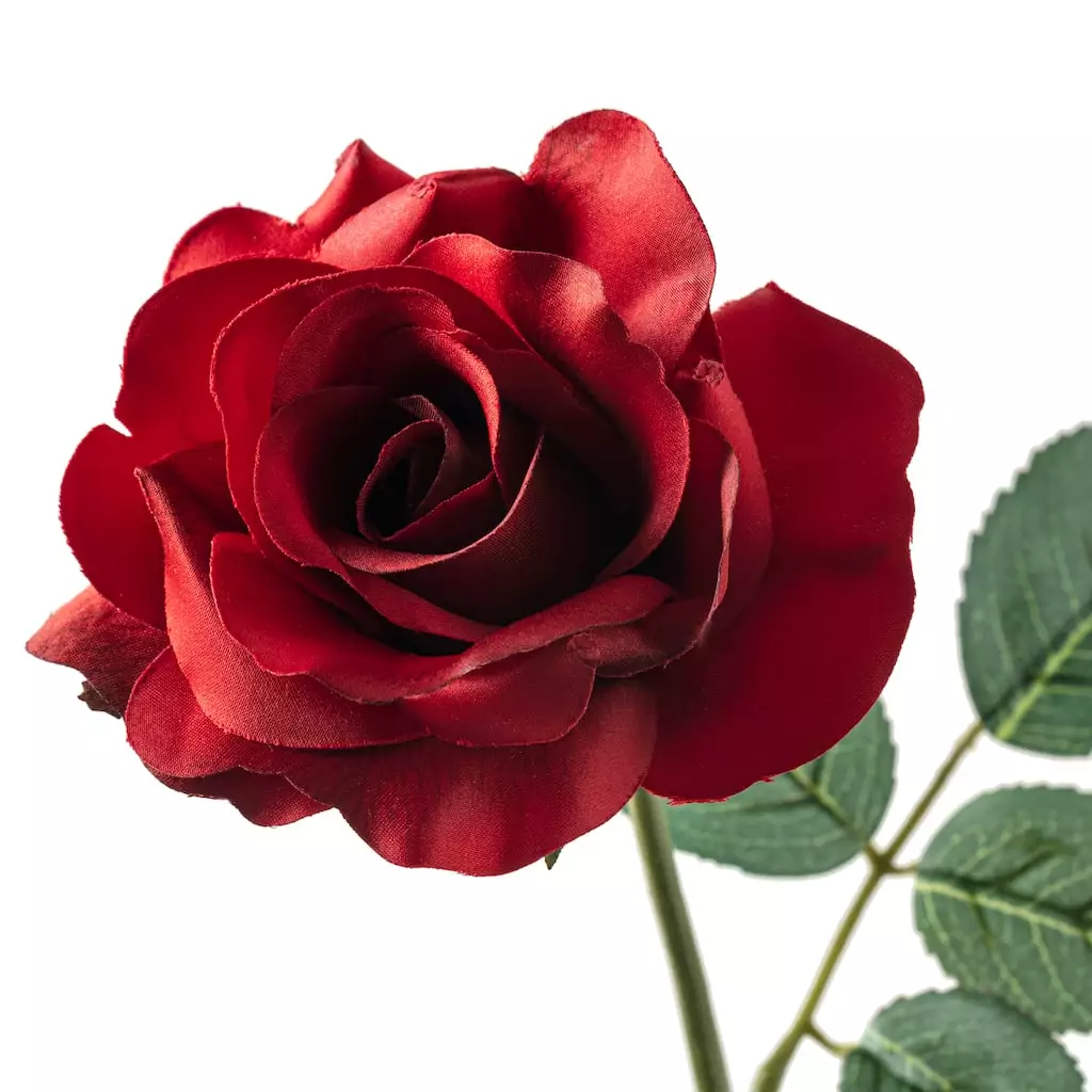Best reviews of ✔️ 12 Pack: Dark Red Princess Rose by Ashland® ⭐ 4 Best reviews of ✔️ 12 Pack: Dark Red Princess Rose by Ashland® ⭐ - Image 2