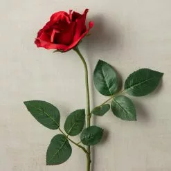 Best reviews of ✔️ 12 Pack: Dark Red Princess Rose by Ashland® ⭐ 7 Best reviews of ✔️ 12 Pack: Dark Red Princess Rose by Ashland® ⭐ -Ashland Online Store MP297101 25