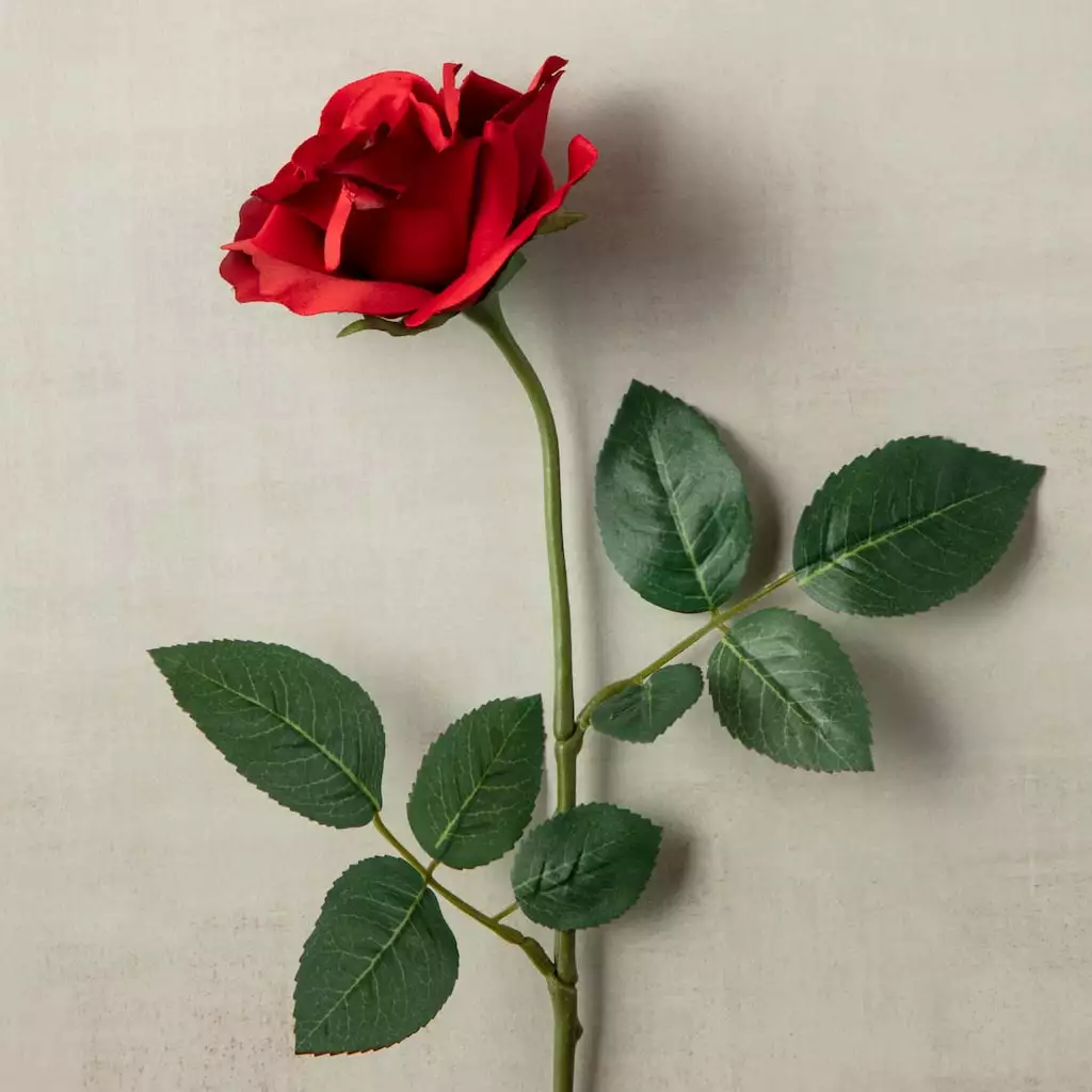 Best reviews of ✔️ 12 Pack: Dark Red Princess Rose by Ashland® ⭐ 5 Best reviews of ✔️ 12 Pack: Dark Red Princess Rose by Ashland® ⭐ - Image 3