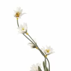 Outlet ⭐ 16 Pack: Cream Wild Daisy Spray by Ashland® 🤩 -Ashland Online Store MP302183 20