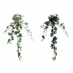 Outlet ๐ 12 Pack: Assorted Mini English Ivy Bush by Ashland® ๐ฅ