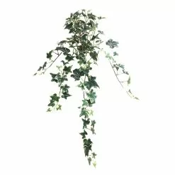Outlet 🎉 12 Pack: Assorted Mini English Ivy Bush by Ashland® 🔥 -Ashland Online Store MP308569 4