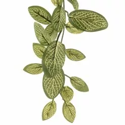 Buy 🛒 8 Pack: Fittonia Hanging Bush by Ashland® 🥰 -Ashland Online Store MP308882 20