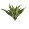 Hot Sale 🥰 12 Pack: Boston Fern Bush by Ashland® ❤️ -Ashland Online Store MP309260