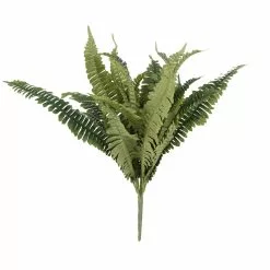Hot Sale 🥰 12 Pack: Boston Fern Bush by Ashland® ❤️