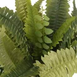 Hot Sale 🥰 12 Pack: Boston Fern Bush by Ashland® ❤️ -Ashland Online Store MP309260 2