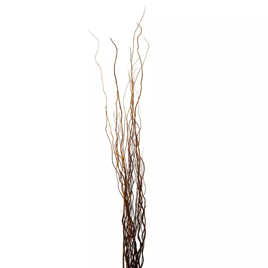 New ๐ 12 Pack: Natural Curly Willow by Ashland® โญ 3 New ๐ 12 Pack: Natural Curly Willow by Ashland® โญ