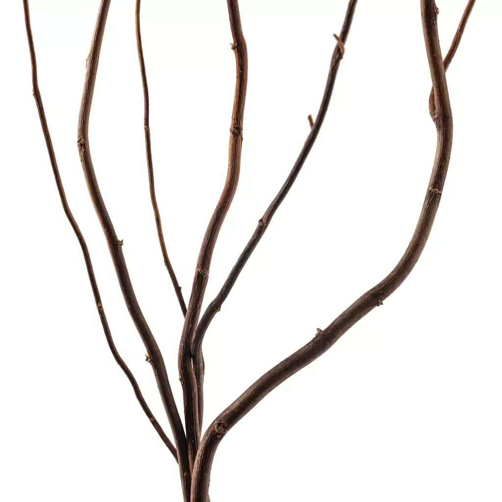 New ๐ 12 Pack: Natural Curly Willow by Ashland® โญ 4 New ๐ 12 Pack: Natural Curly Willow by Ashland® โญ - Image 2