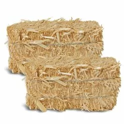 Best deal ❤️ 12 Pack: 2" Straw Bale by Ashland® 🧨